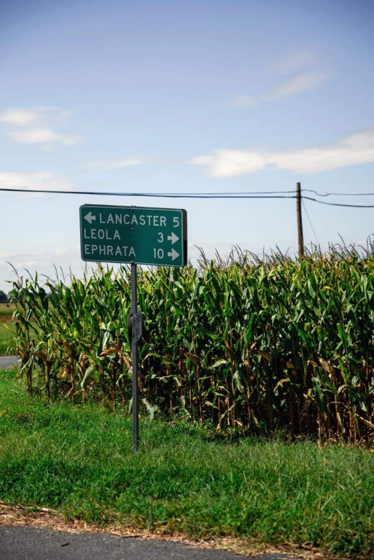 Pennsylvania Sees 84% Vaccination Surge Amid Measles Outbreak - Image 2