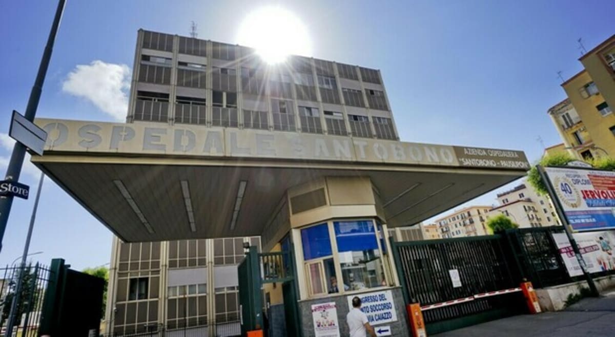 Italy's Largest Southern Pediatric Research Hospital Launches - Image 2