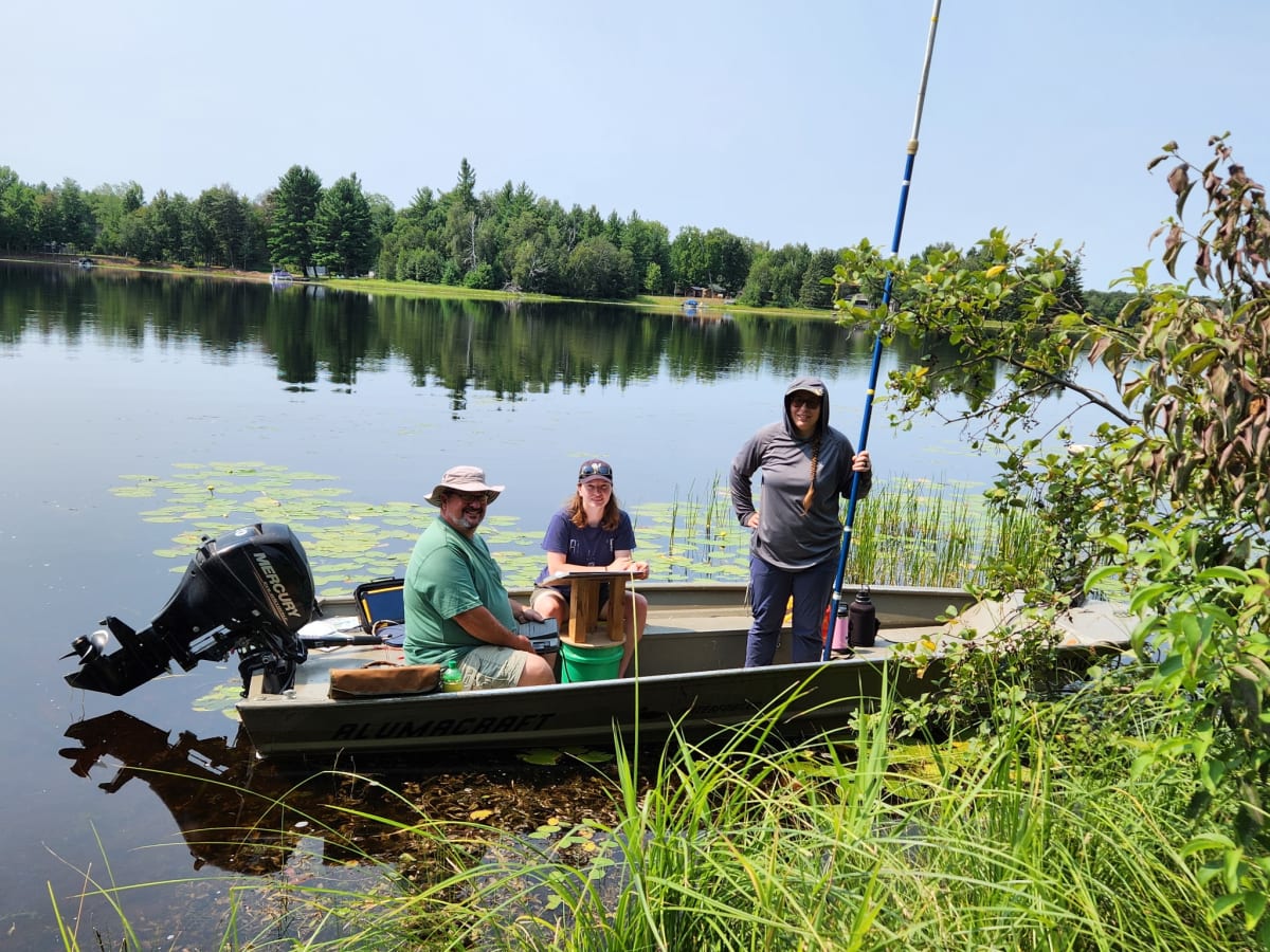 Wisconsin County Recovers After Century of Forest Restoration - Image 5