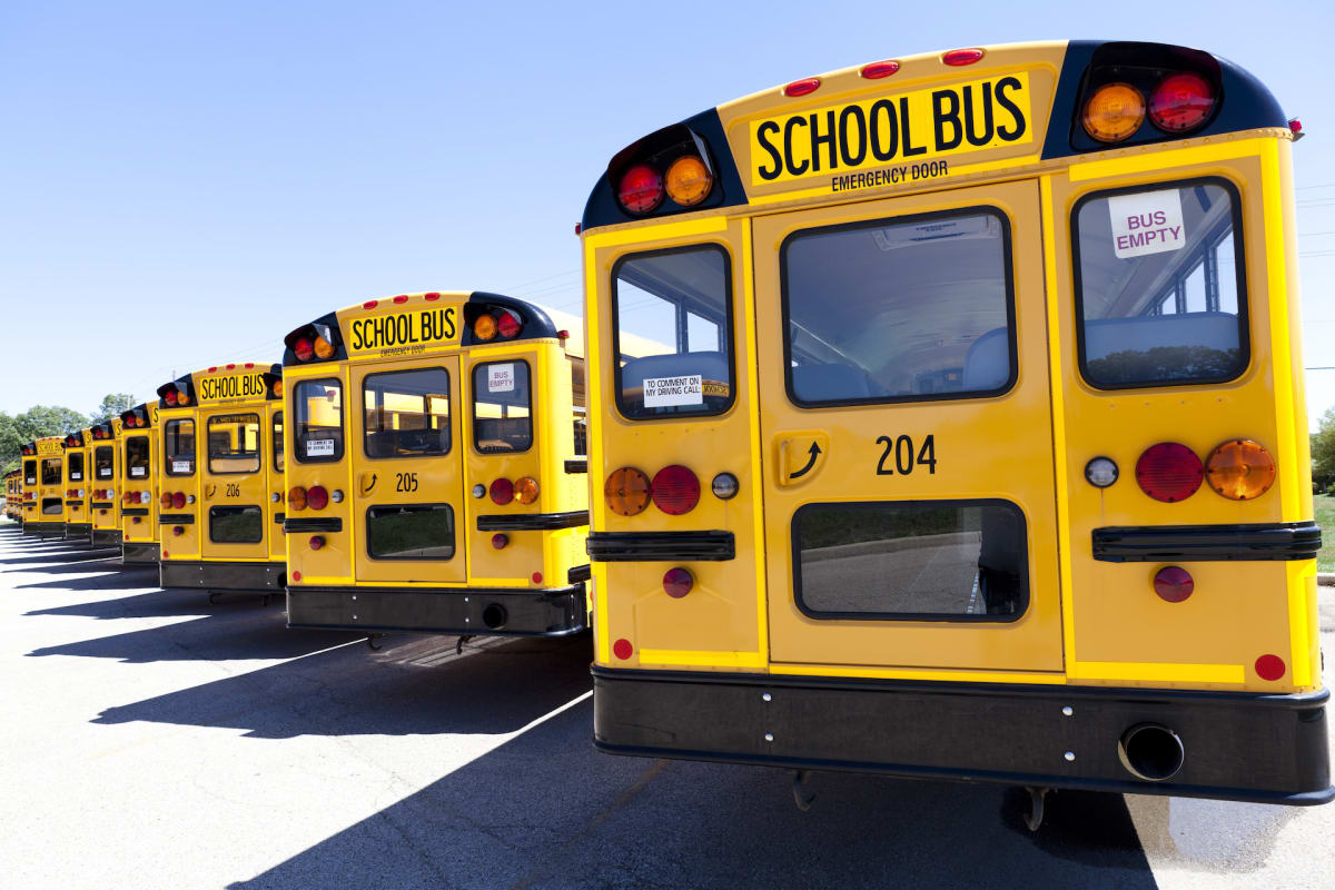 Yellow American school buses lined up, transporting Scottish soccer fans to World Cup matches