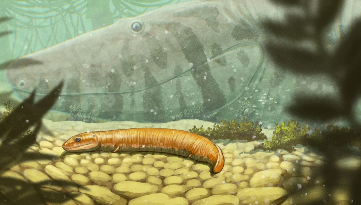 Ancient Fossils Rewrite 150 Years of Evolution Science - Image 3