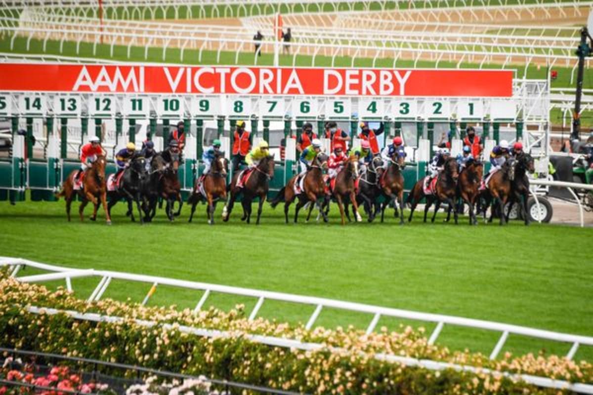 Kiwi Apprentice Now Translates for World's Richest Racehorse - Image 4