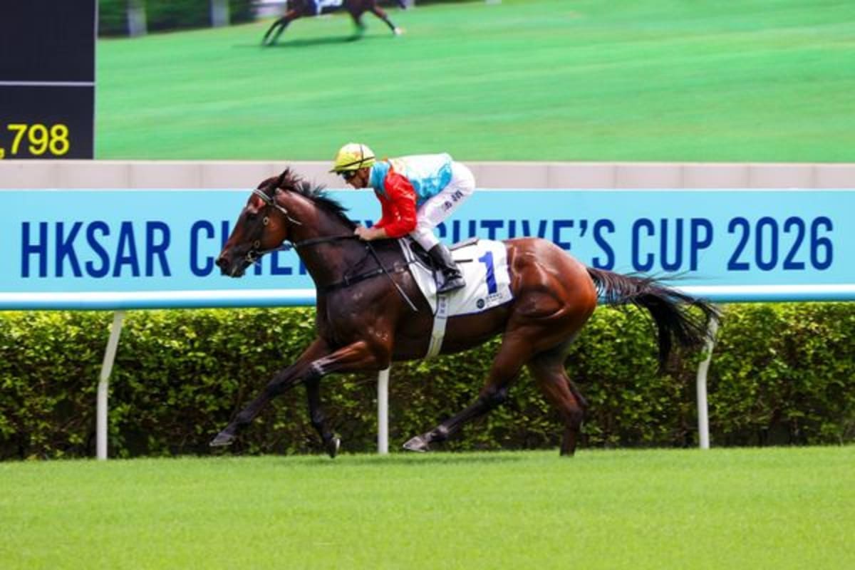 Kiwi Apprentice Now Translates for World's Richest Racehorse - Image 3