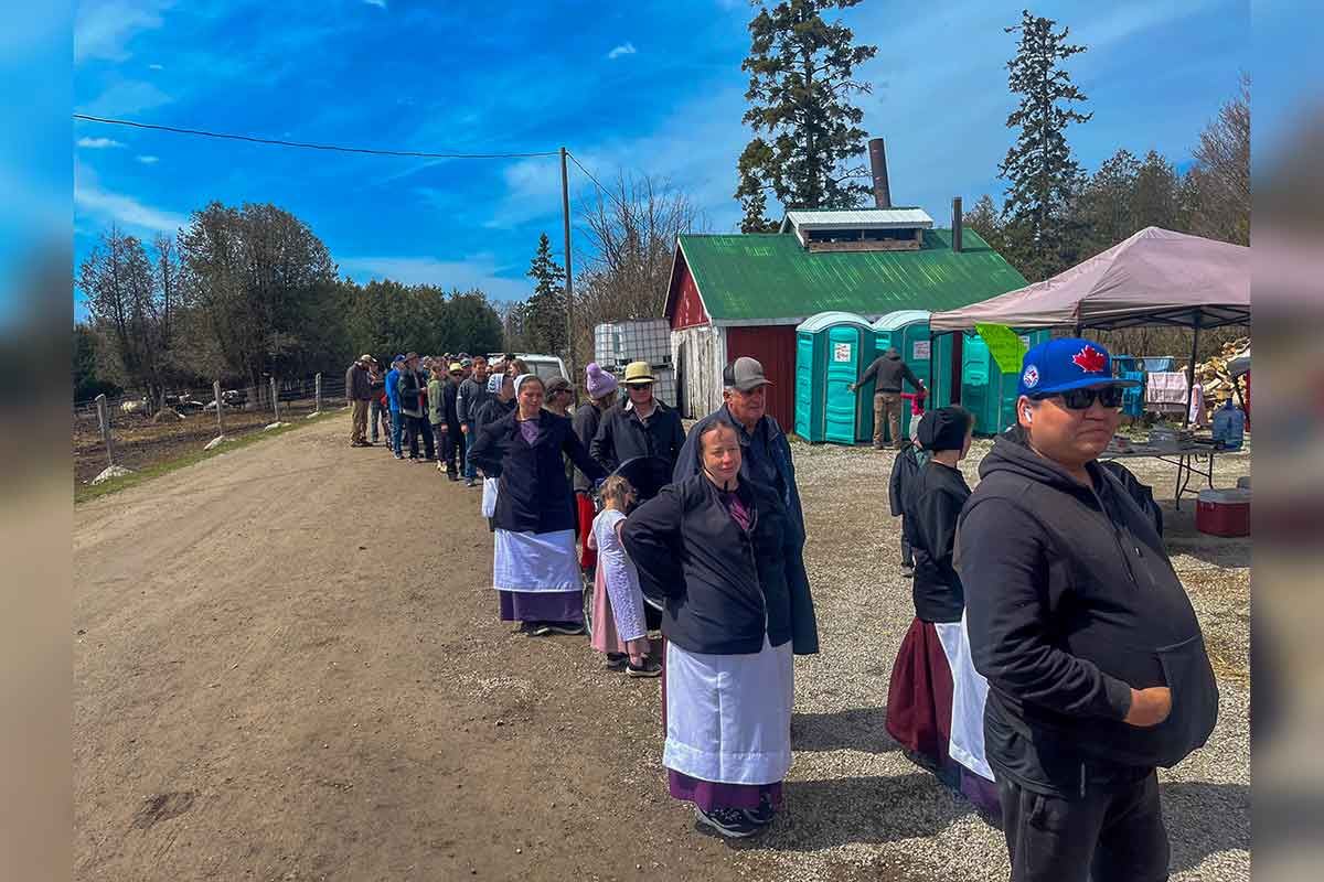 5th Annual Amish Pork Roast Unites Manitoulin Community - Image 2
