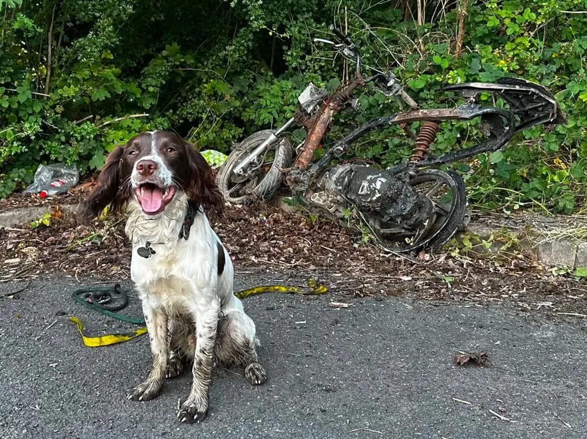 Internet Troll Drives 5 Hours to Remove Fly-Tipped Bike - Image 3