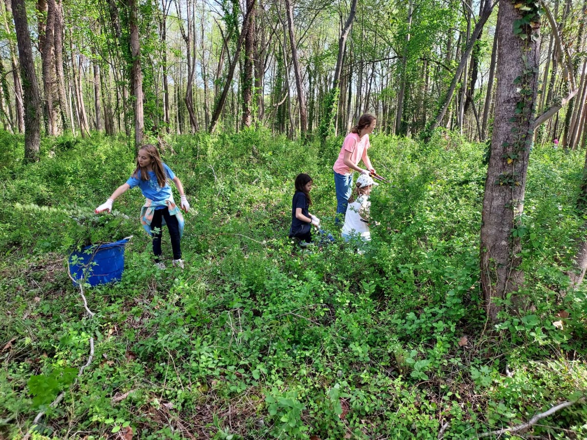 230 Students Restore Historic Black Cemetery in Henrico - Image 4