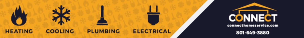 Utah Firefighter Beekeeper Safely Rescues Hive at Station - Image 3