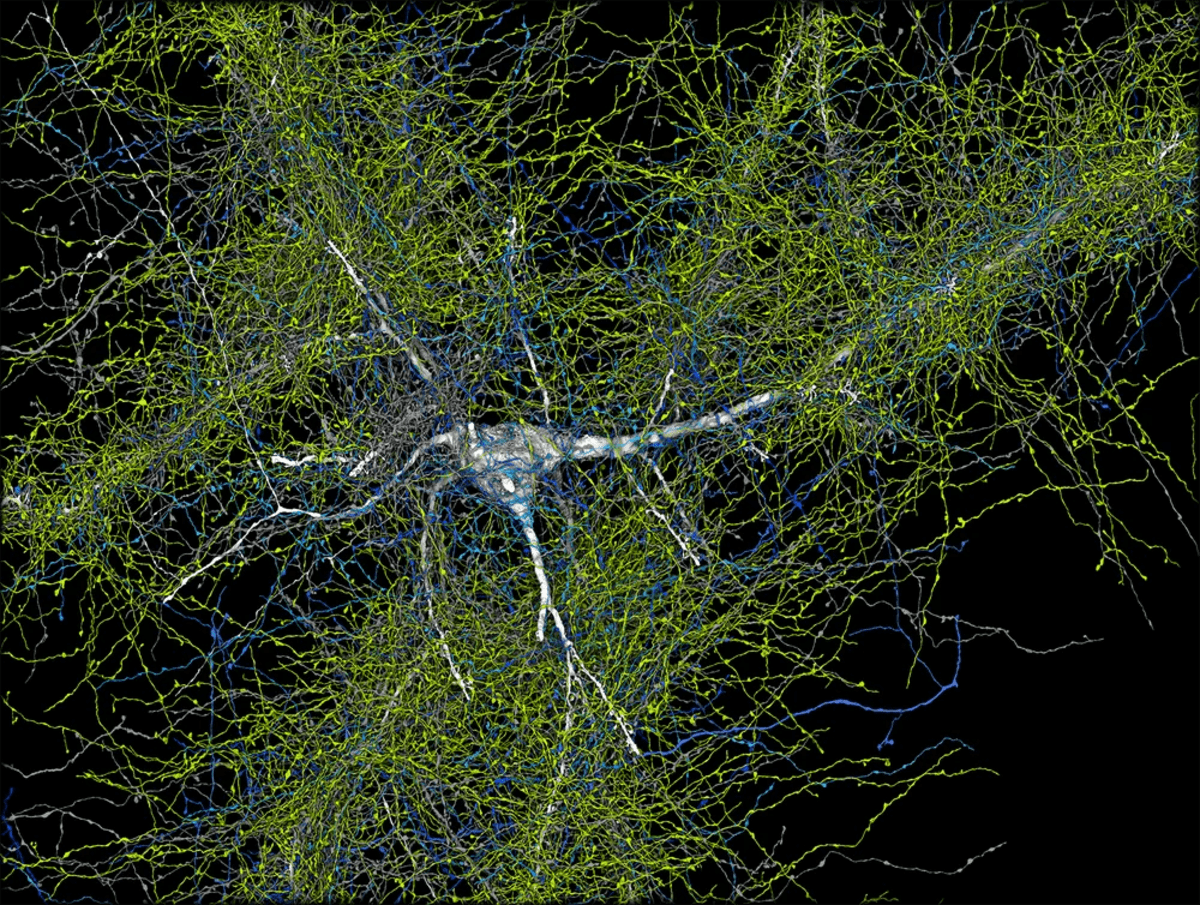 Google's AI Tool ERA Predicts Disease Outbreaks, Maps CO2 - Image 5
