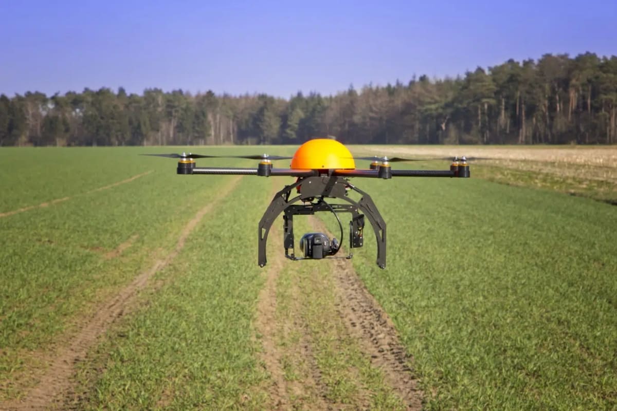 Argentina Uses Drones to Plant 100K Trees in Gran Chaco - Image 2