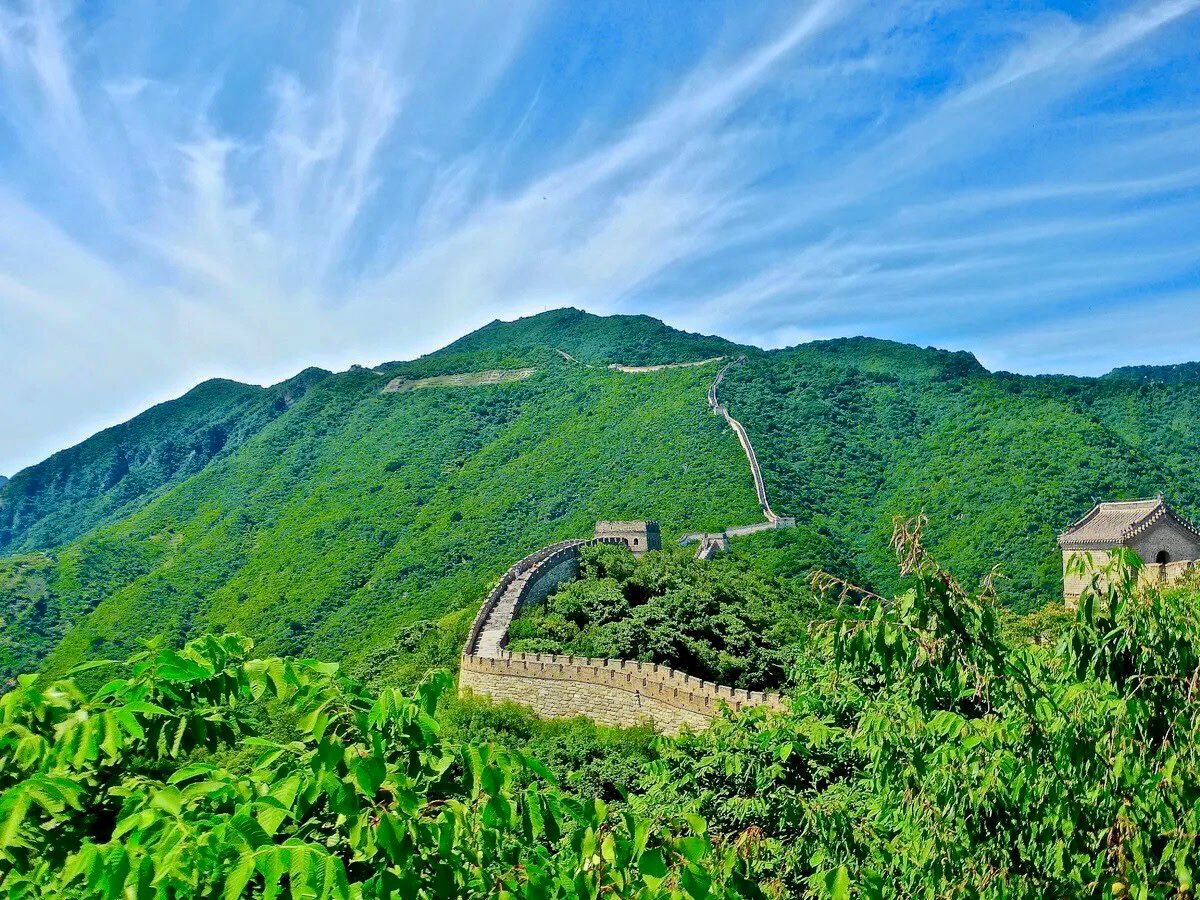 Aerial view of green forests covering rolling hills on China's Loess Plateau after reforestation