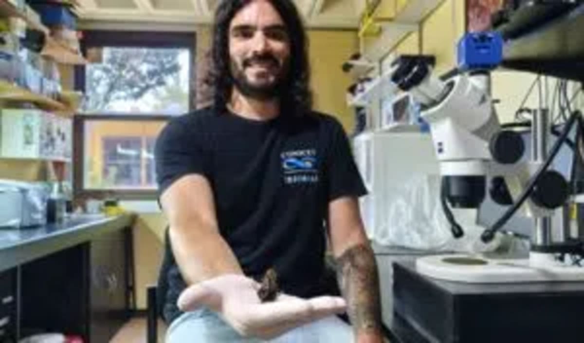 New Sea Urchin Species Found 2 Miles Deep Off Argentina - Image 3