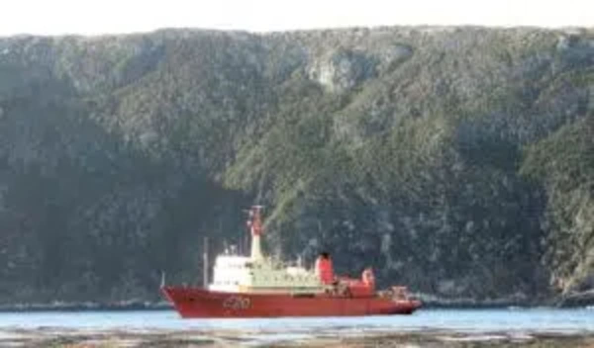 New Sea Urchin Species Found 2 Miles Deep Off Argentina - Image 2