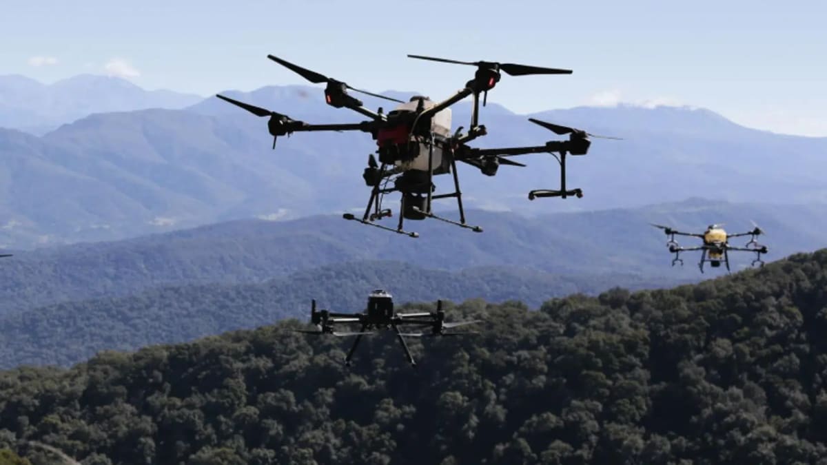 Argentina Uses Drones to Plant 100K Trees in Gran Chaco