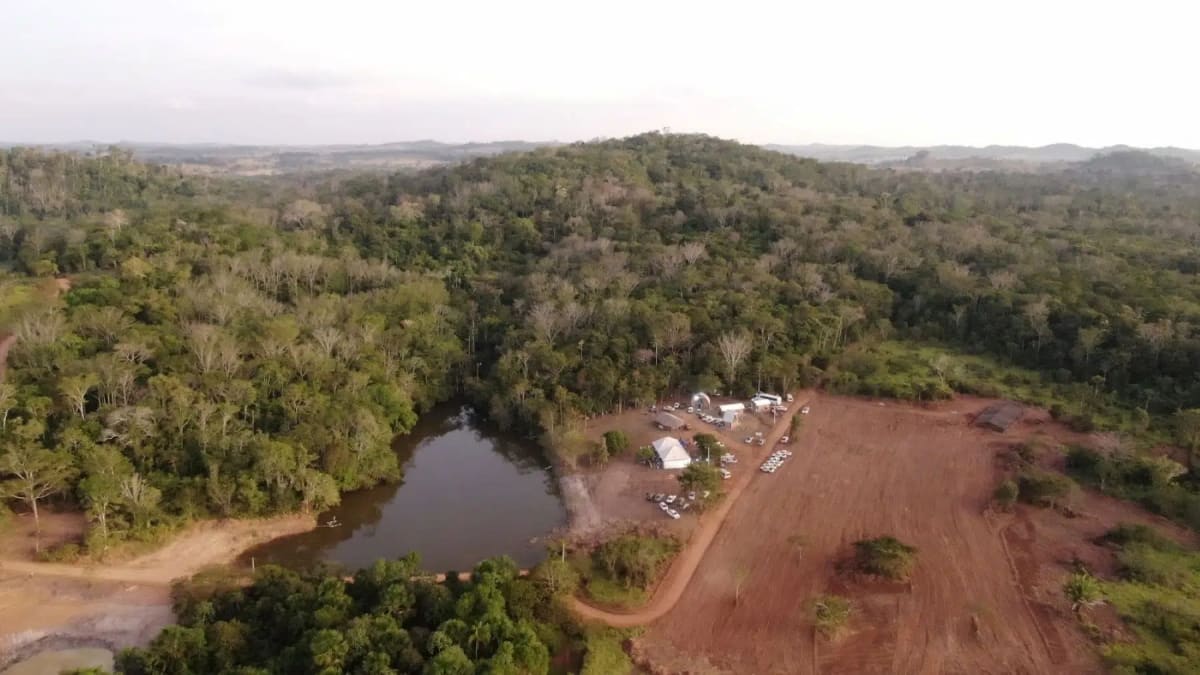 Paiter Suruí Indigenous community members working in native plant nursery in Amazon rainforest