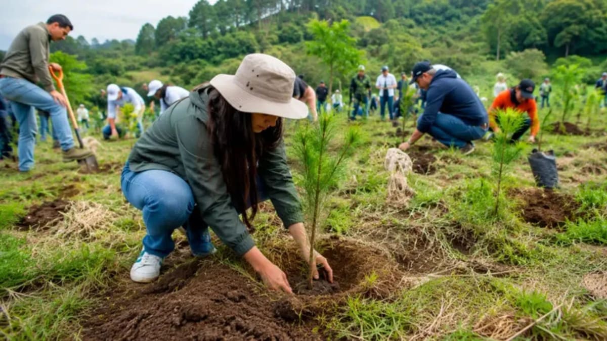 Mexico Plants 1.5 Billion Trees in Single Day Event - Image 2
