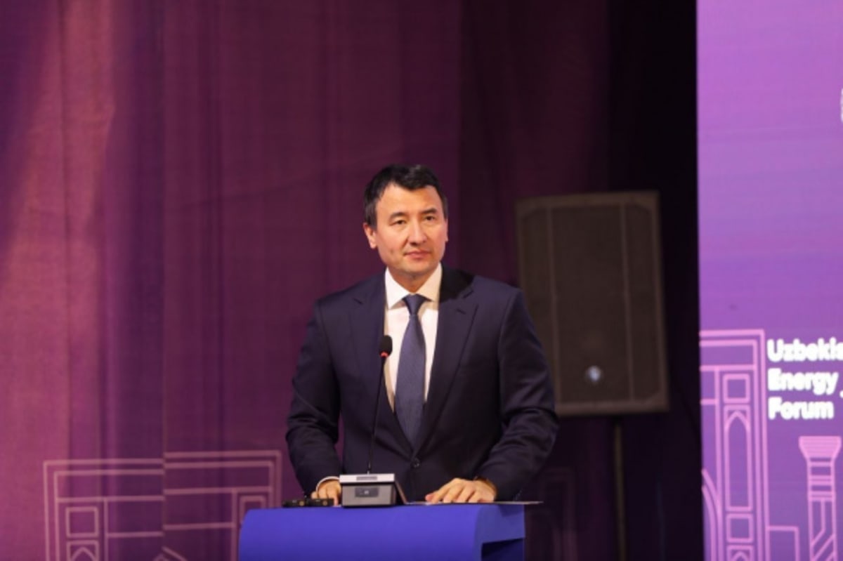 Uzbekistan's Green Energy Surges 29% in Record Shift - Image 4