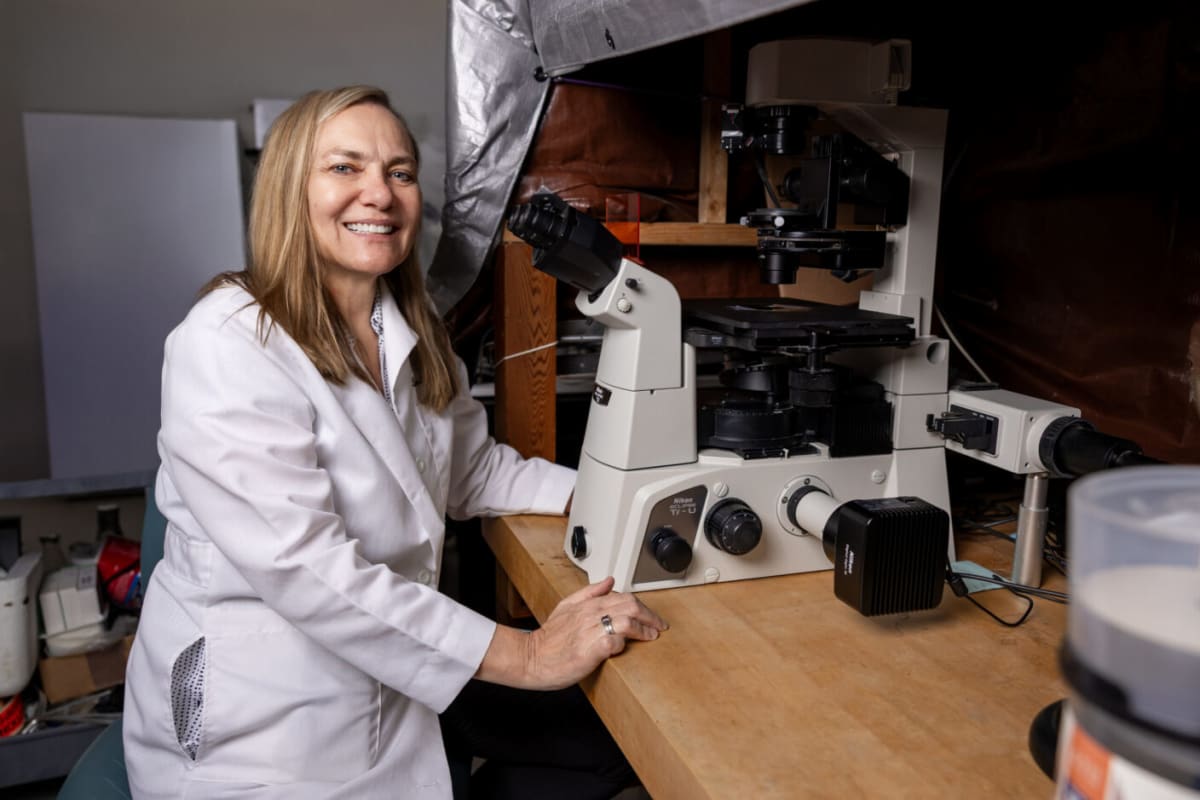 Texas Bandage Delivers Healing Gas Directly to Wounds - Image 2