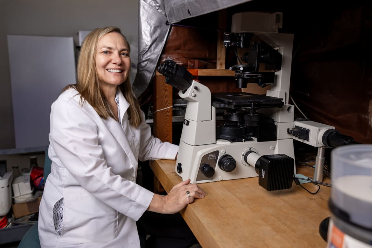 Dr. Cristine Heaps standing with microscope in Texas A&M biomedical sciences laboratory