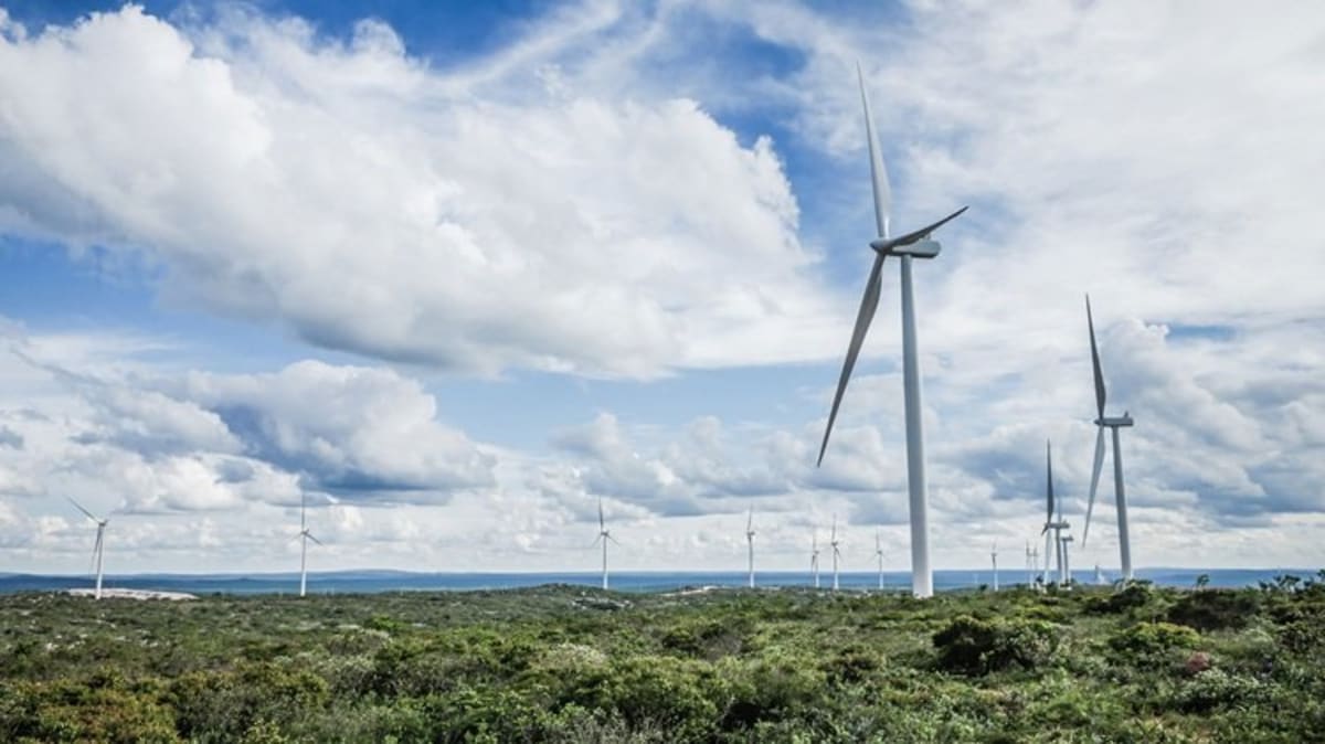 Wind turbines and solar panels stretching across Mexican landscape under blue sky