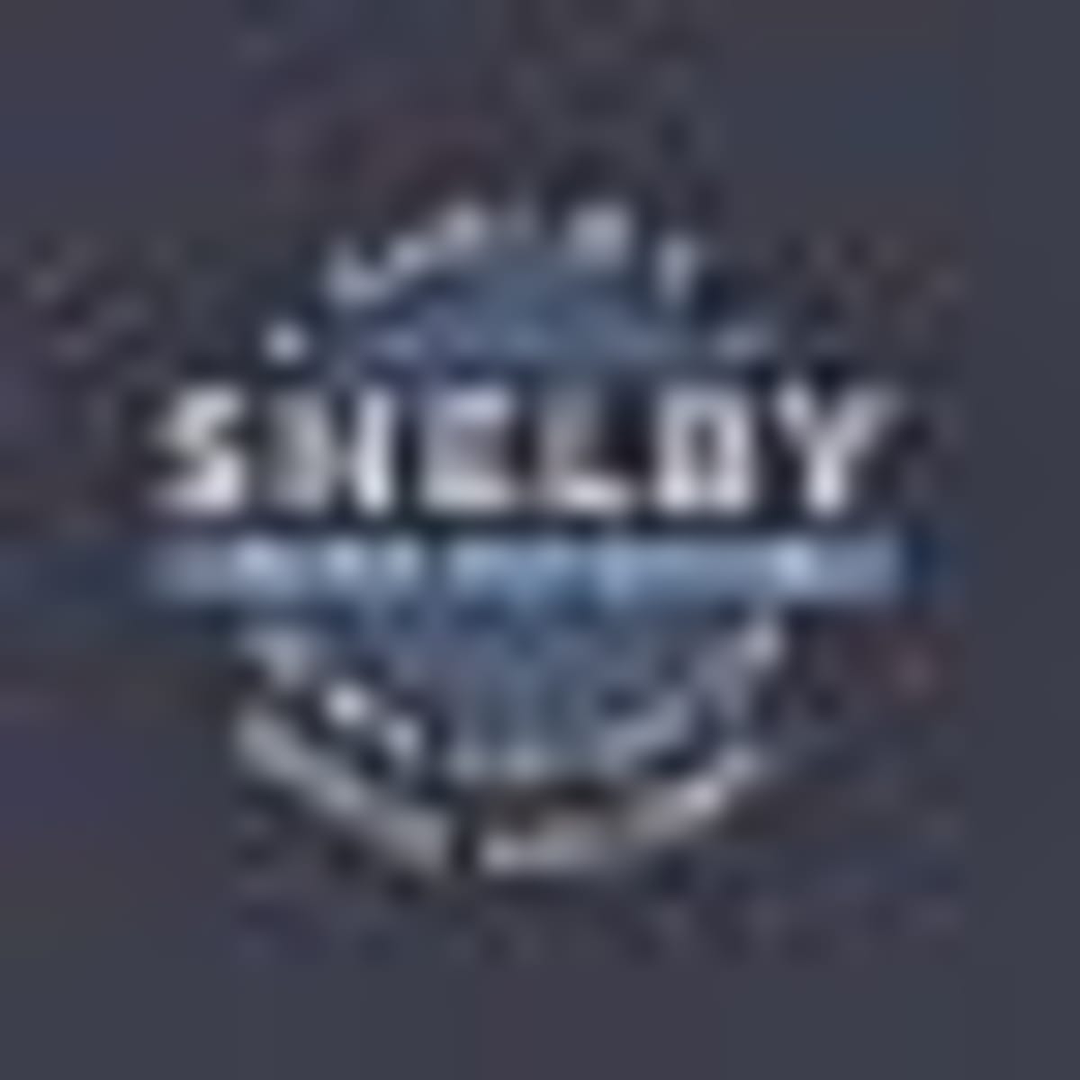 Shelby Electricians Save Museum $1,000s in Volunteer Work - Image 4