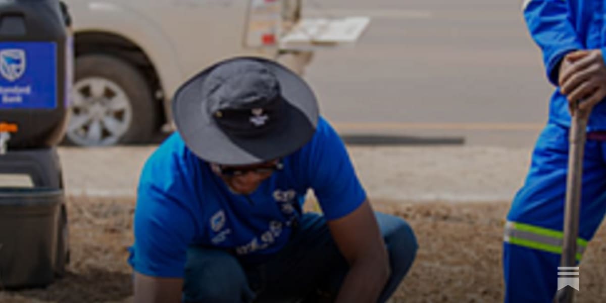 Malawi Bank Invests $50M to Restore Urban Tree Cover - Image 2