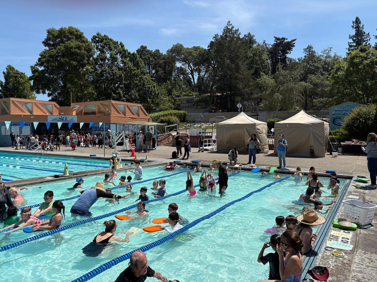 Sebastopol Rotary Teaches 300+ Kids to Swim for Free - Image 3
