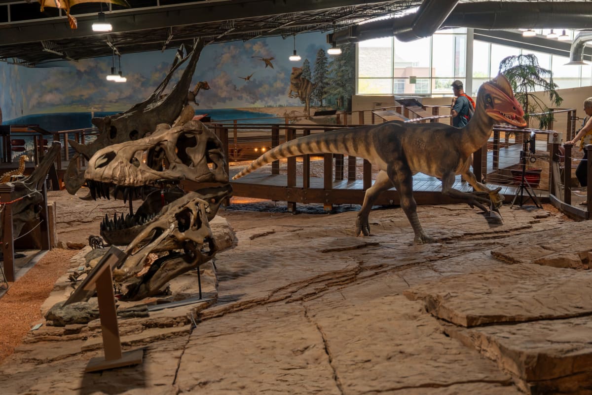 Utah Dinosaur Museum Names New Leader, Unveils Bone Beds - Image 2