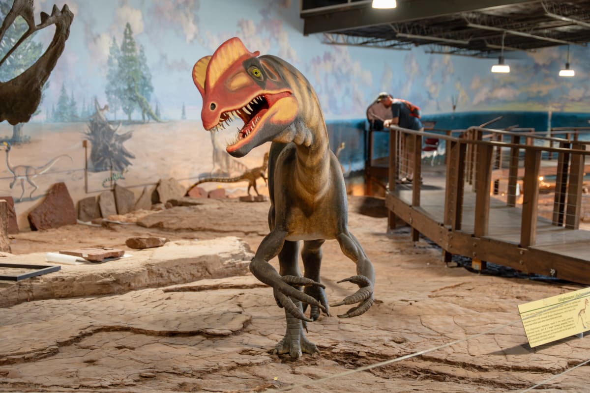 Utah Dinosaur Museum Names New Leader, Unveils Bone Beds - Image 3