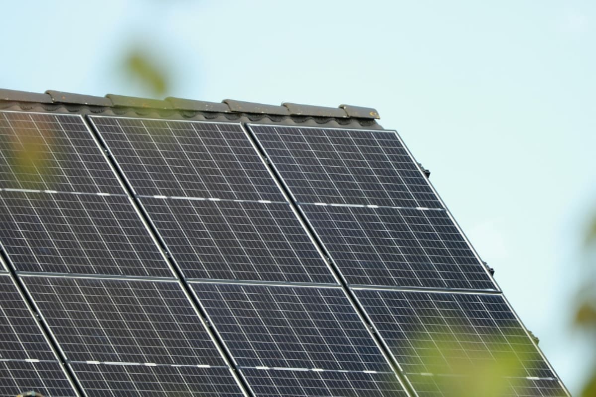 Analytics Firm Cuts Emissions 24% in Just One Year - Image 3
