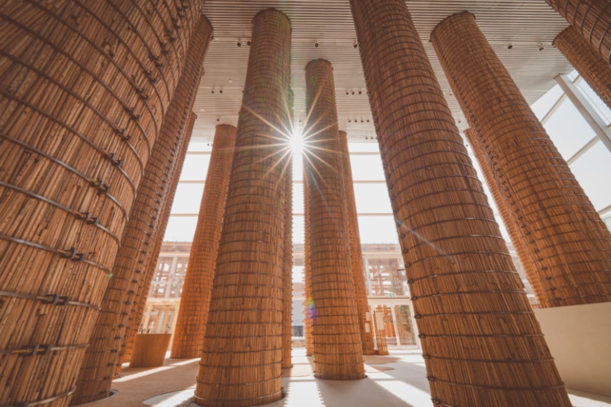 Tesco Cuts Emissions 68%, Beats 2025 Climate Goal Early - Image 2