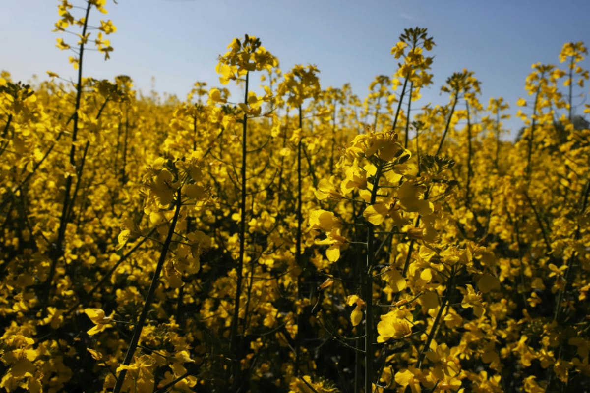 Suntory Beverage Slashes Carbon Emissions 20% Since 2019 - Image 4