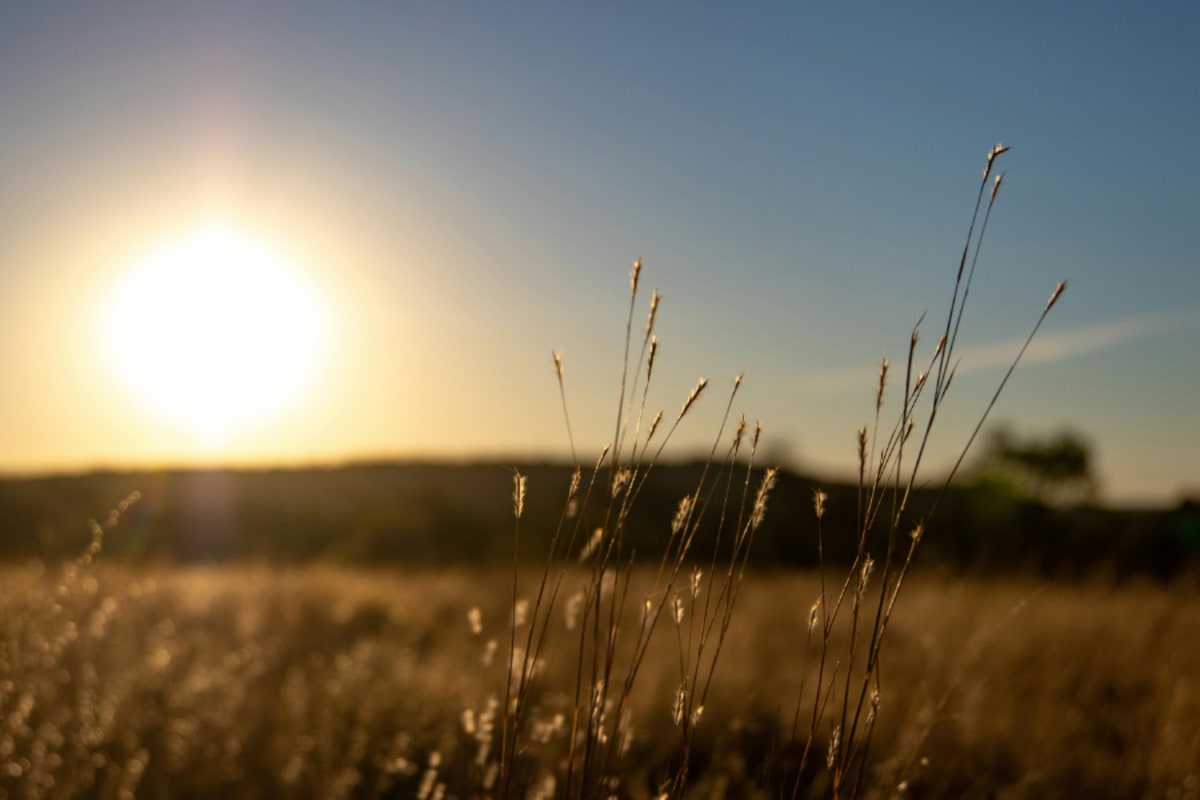Suntory Beverage Slashes Carbon Emissions 20% Since 2019 - Image 3