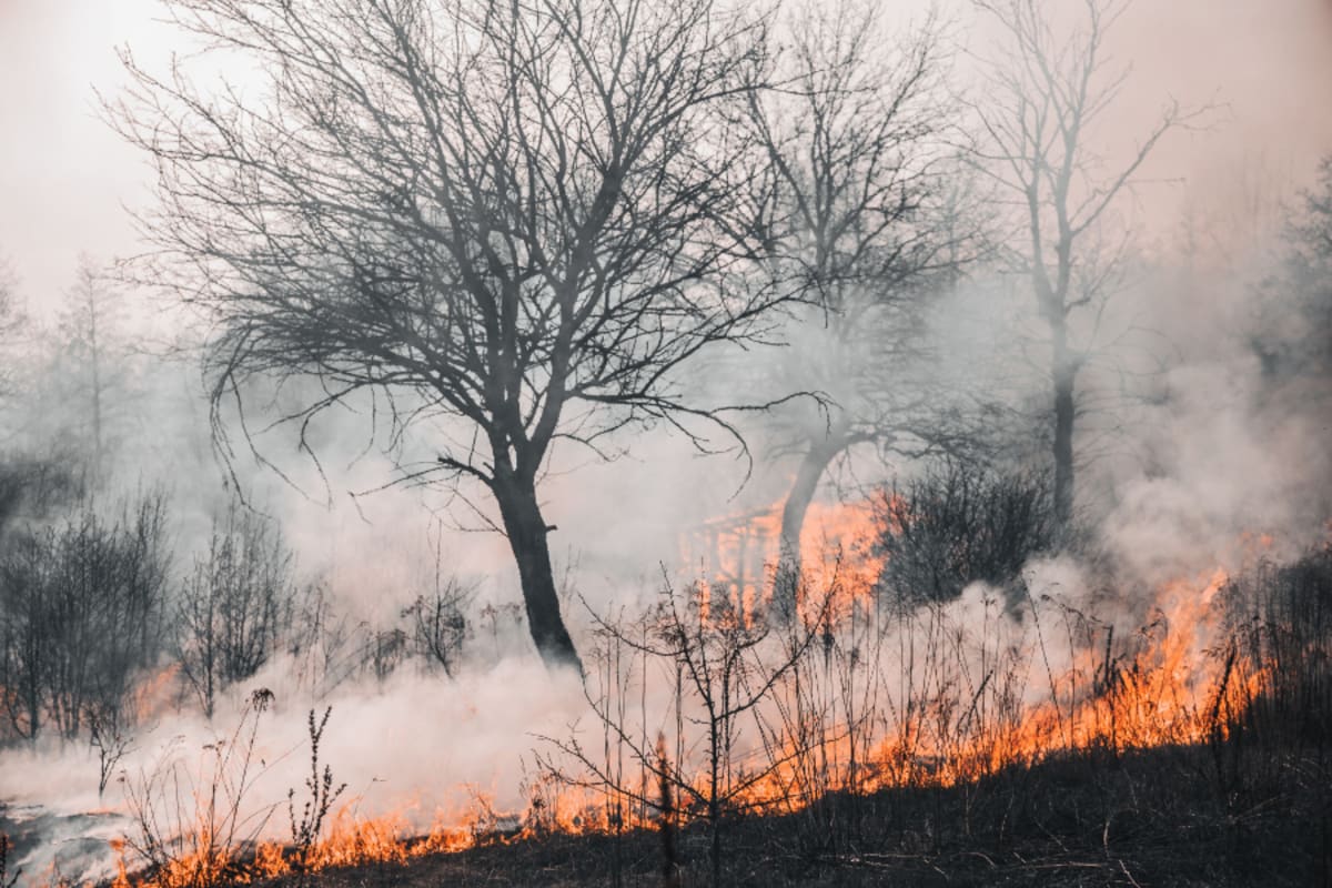 Analytics Firm Cuts Emissions 24% in Just One Year - Image 4