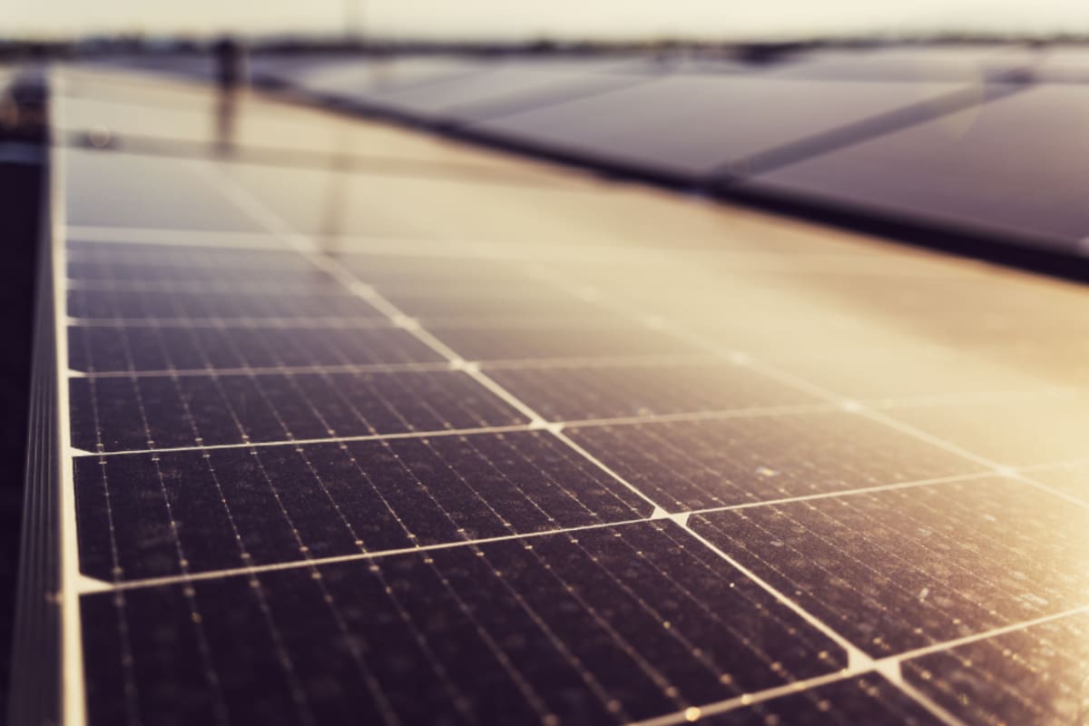 Renewable Energy Hits Record 31.7% of Global Electricity