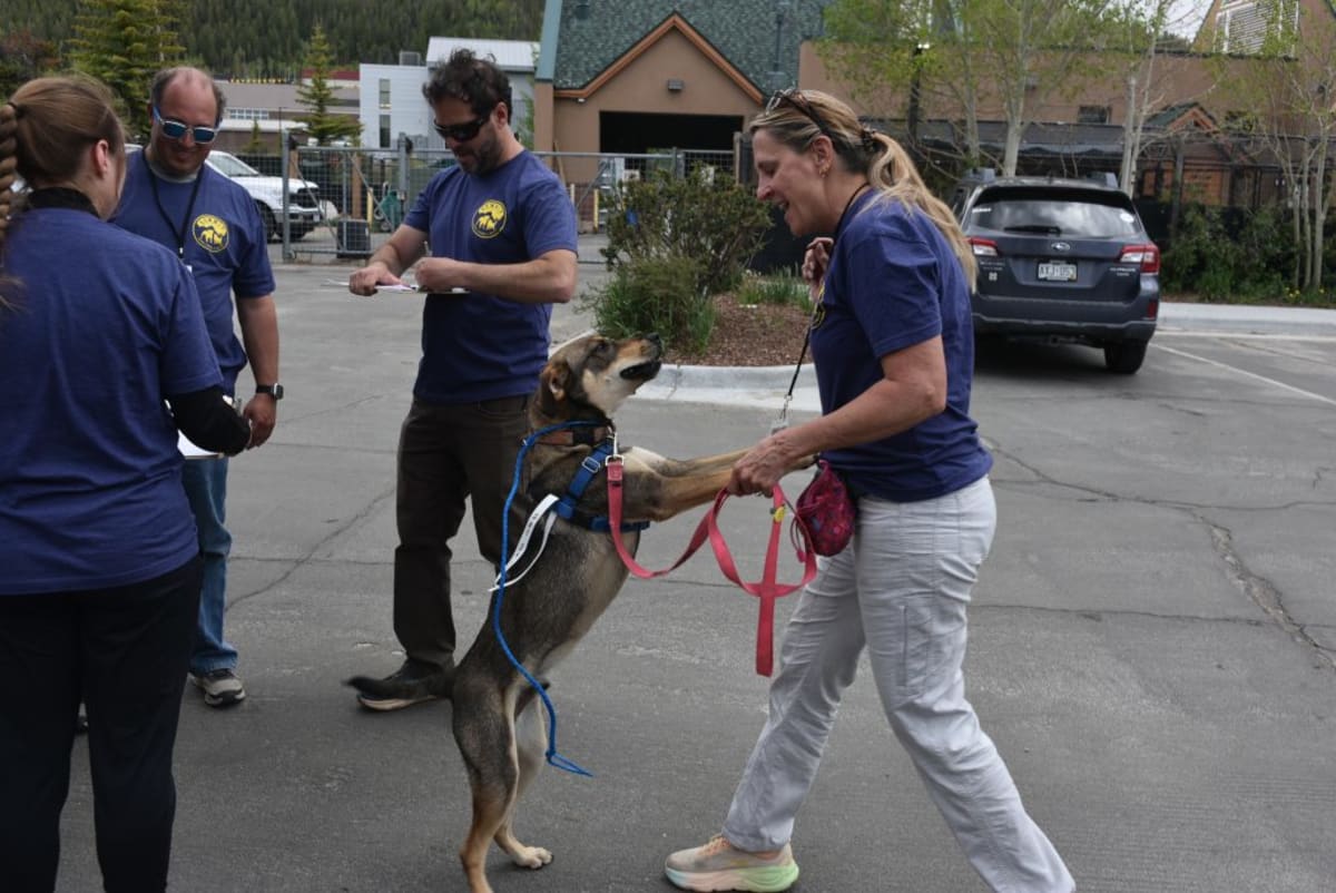 45 Volunteers Train to Save Pets During Wildfires - Image 5