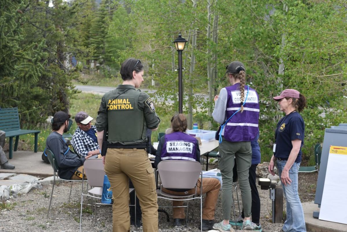 45 Volunteers Train to Save Pets During Wildfires - Image 4