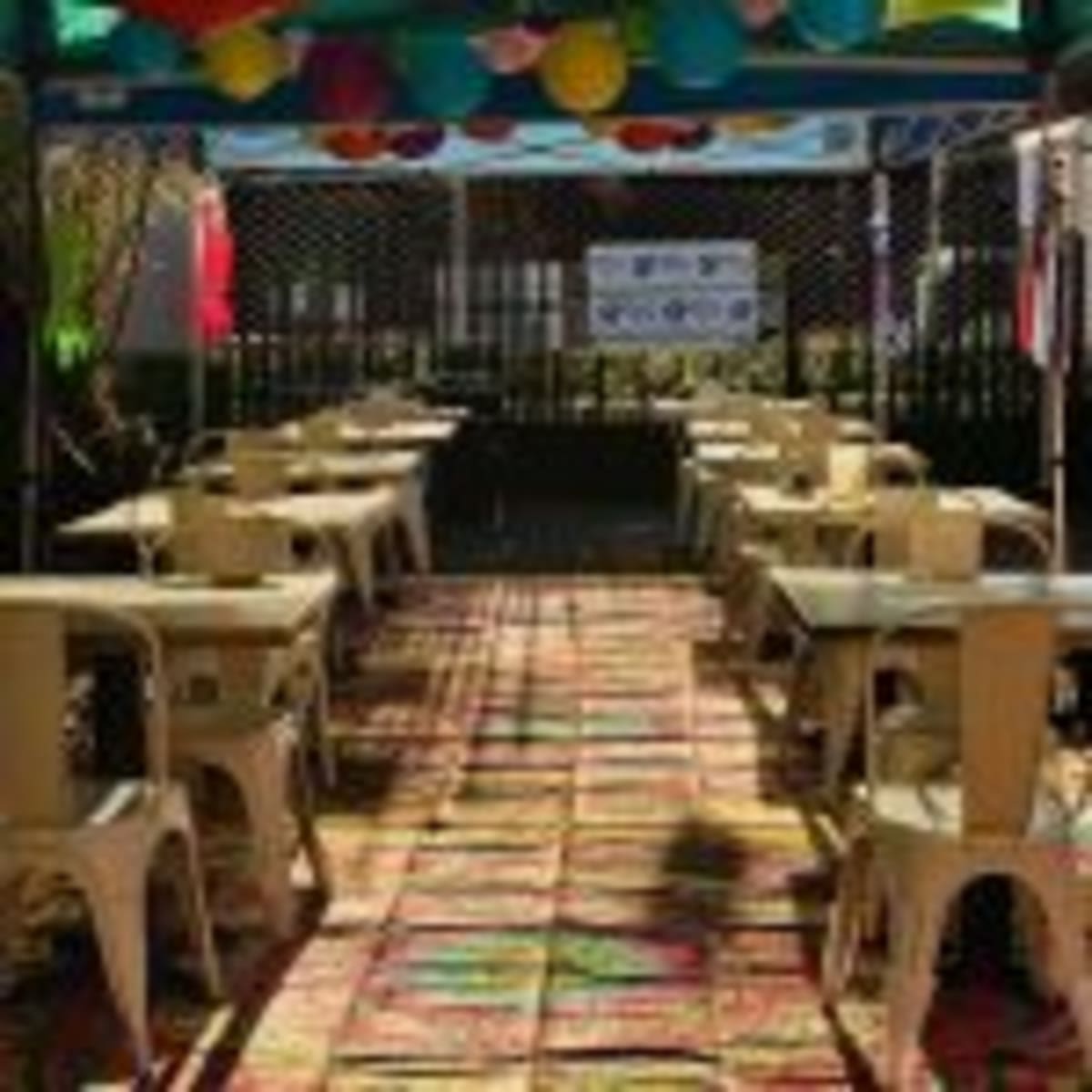 16 Volunteers Save Injured Skier Near Colorado's Mace Peak - Image 5