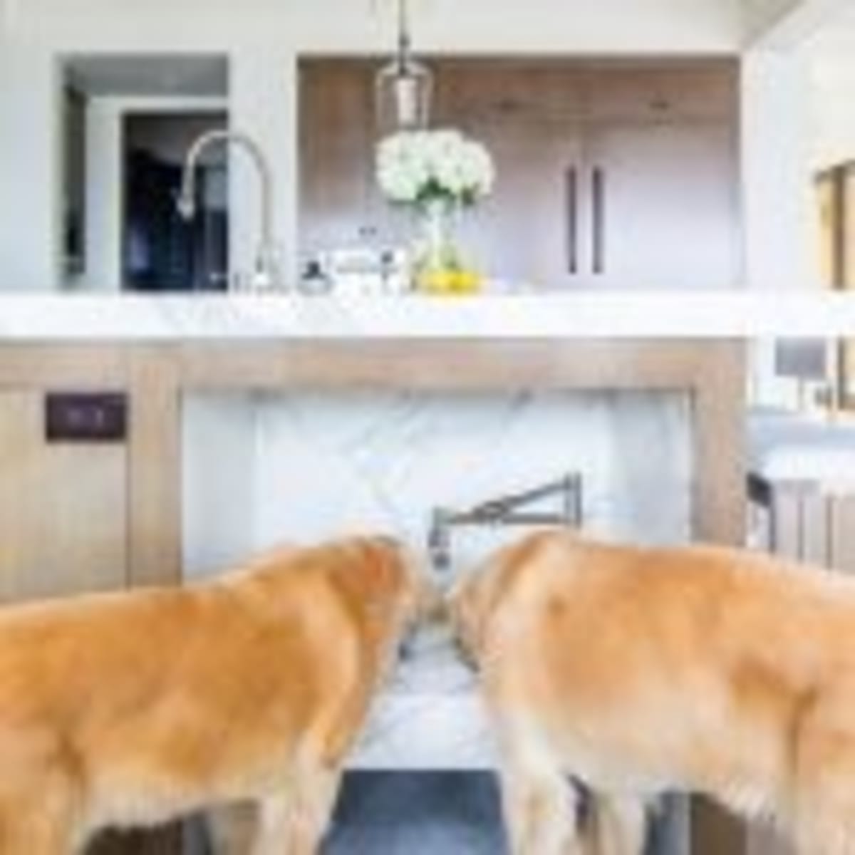 Vail Launches Free Zipcar Program to Cut Emissions - Image 5