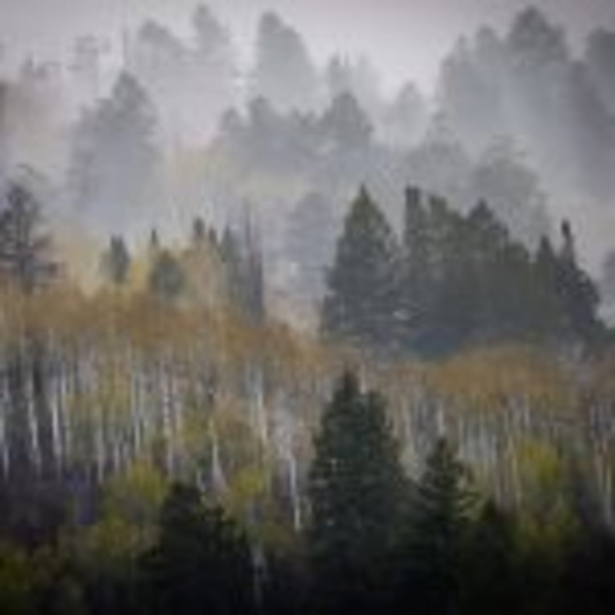 Colorado Sets New EV Charger Rules to Boost Trust - Image 5