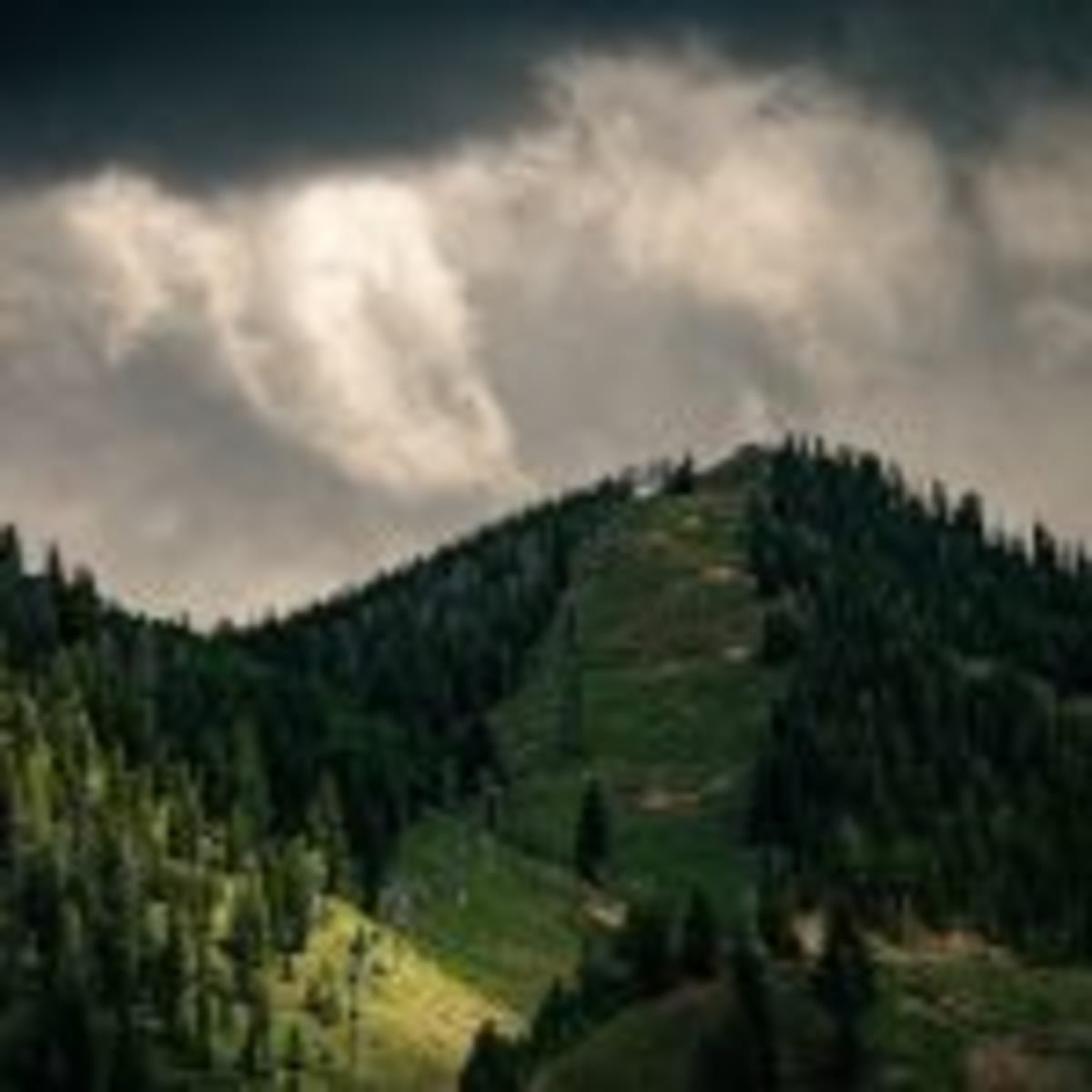 Colorado Town Hosts Free EV Test Drive Event Sept. 26 - Image 2