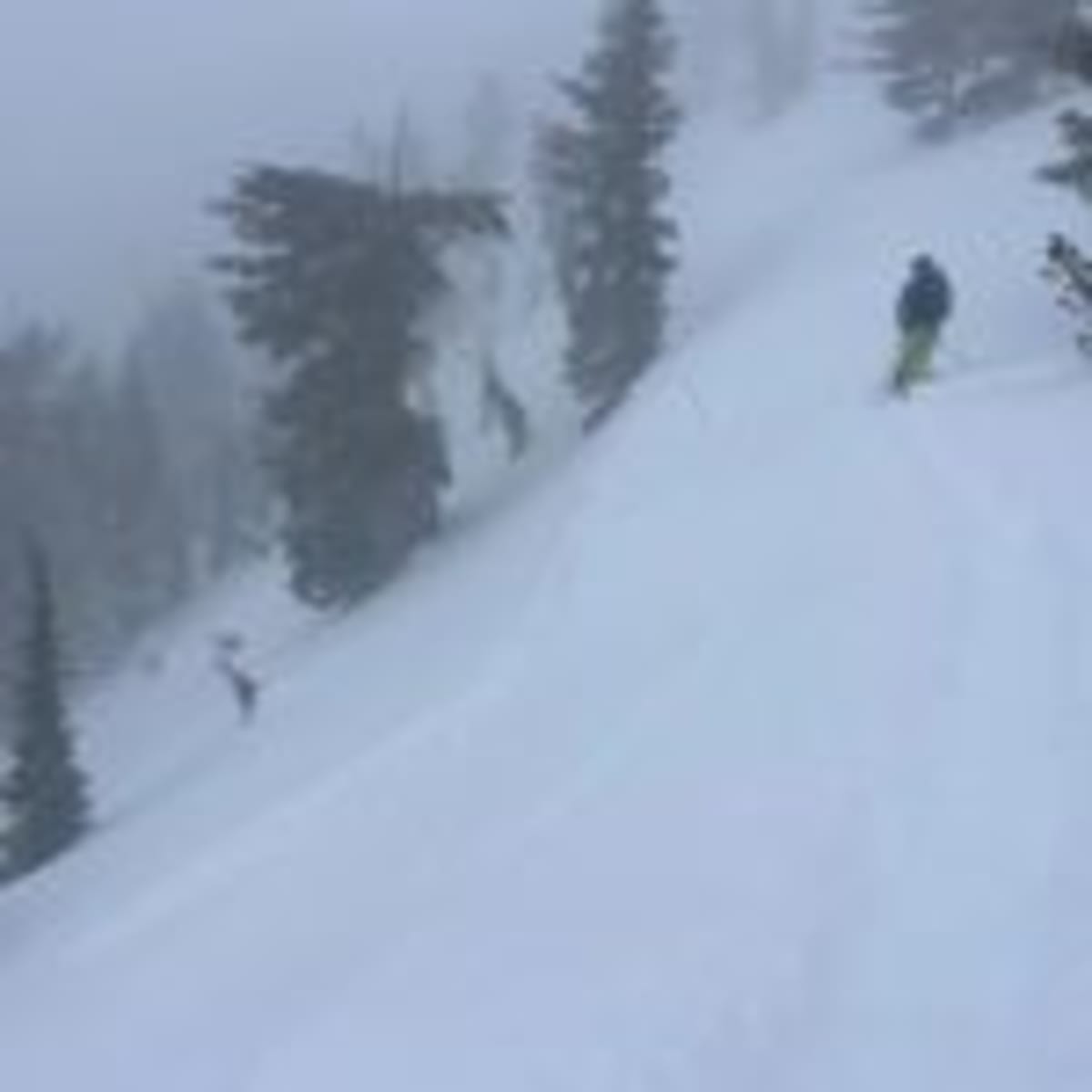 Three California Schools Earn Top State Honors in Tahoe - Image 5