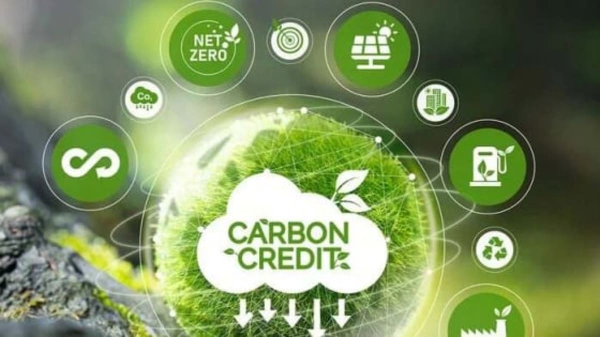 Vietnam Opens Carbon Credit Trading to Global Markets