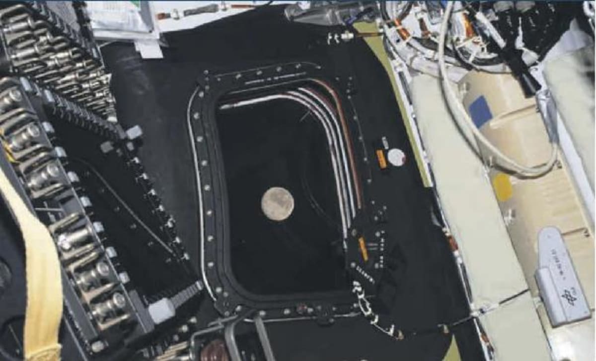 "Dung tally tracks ape numbers... - Image 2