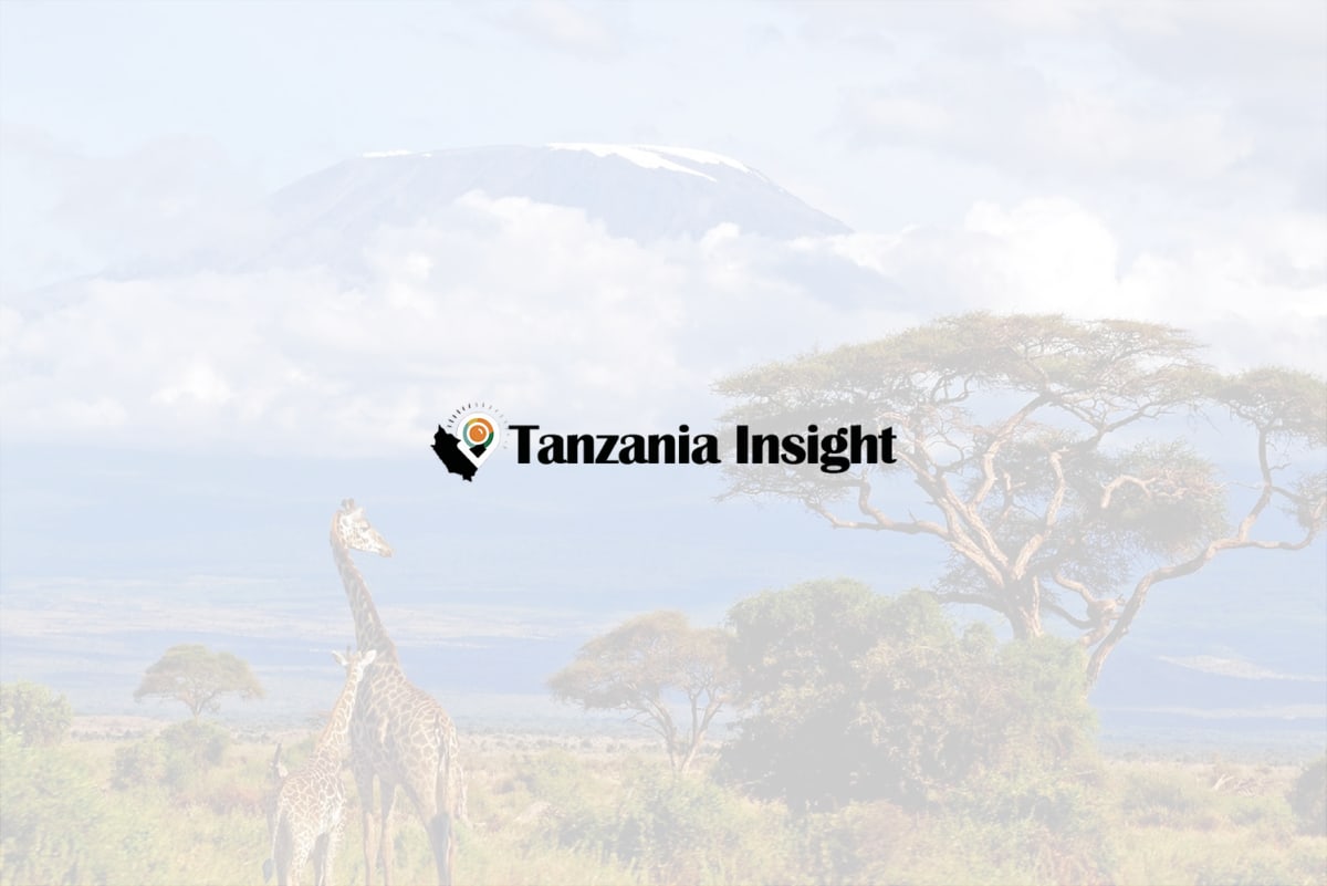Snow-covered peak of Mount Kilimanjaro rising above green forests in Tanzania