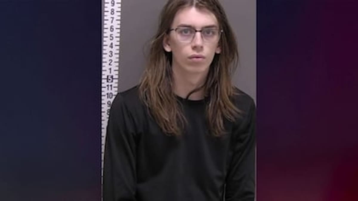 Bystander Stops Assault on 84-Year-Old in Manhattan Park - Image 4