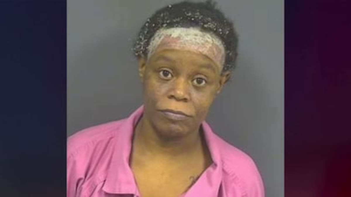 Bystander Stops Assault on 84-Year-Old in Manhattan Park - Image 5