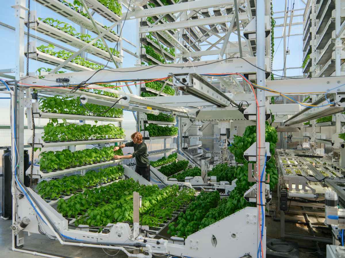 Robot Greenhouse Grows 40K Pounds on Basketball Court