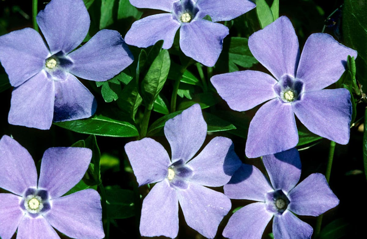 Startup Makes Personal Social Media Ownership Easy for All