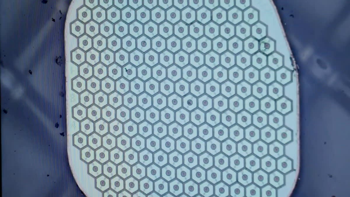 Brain Sensor Uses Living Neurons to Heal Neurological Damage