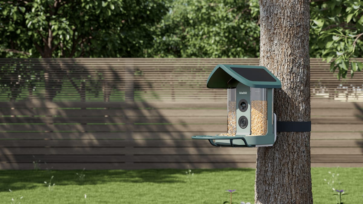 AI Bird Feeder Turns Backyards Into Nature Watching Hubs